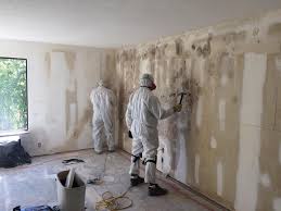 Professional Mold Inspection in Cascade, ID